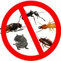 Category